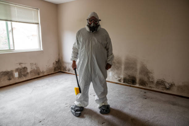 Best Biohazard Mold Removal  in Nicholson, MS